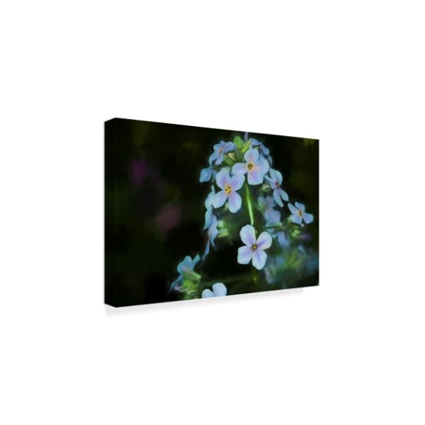 Anthony Paladino 'Wild Cyan And Purple Flowers' Canvas Art,30x47